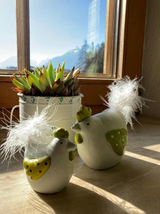 Ferienwohnung Seppen Reith im Alpbachtal Luaran gambar